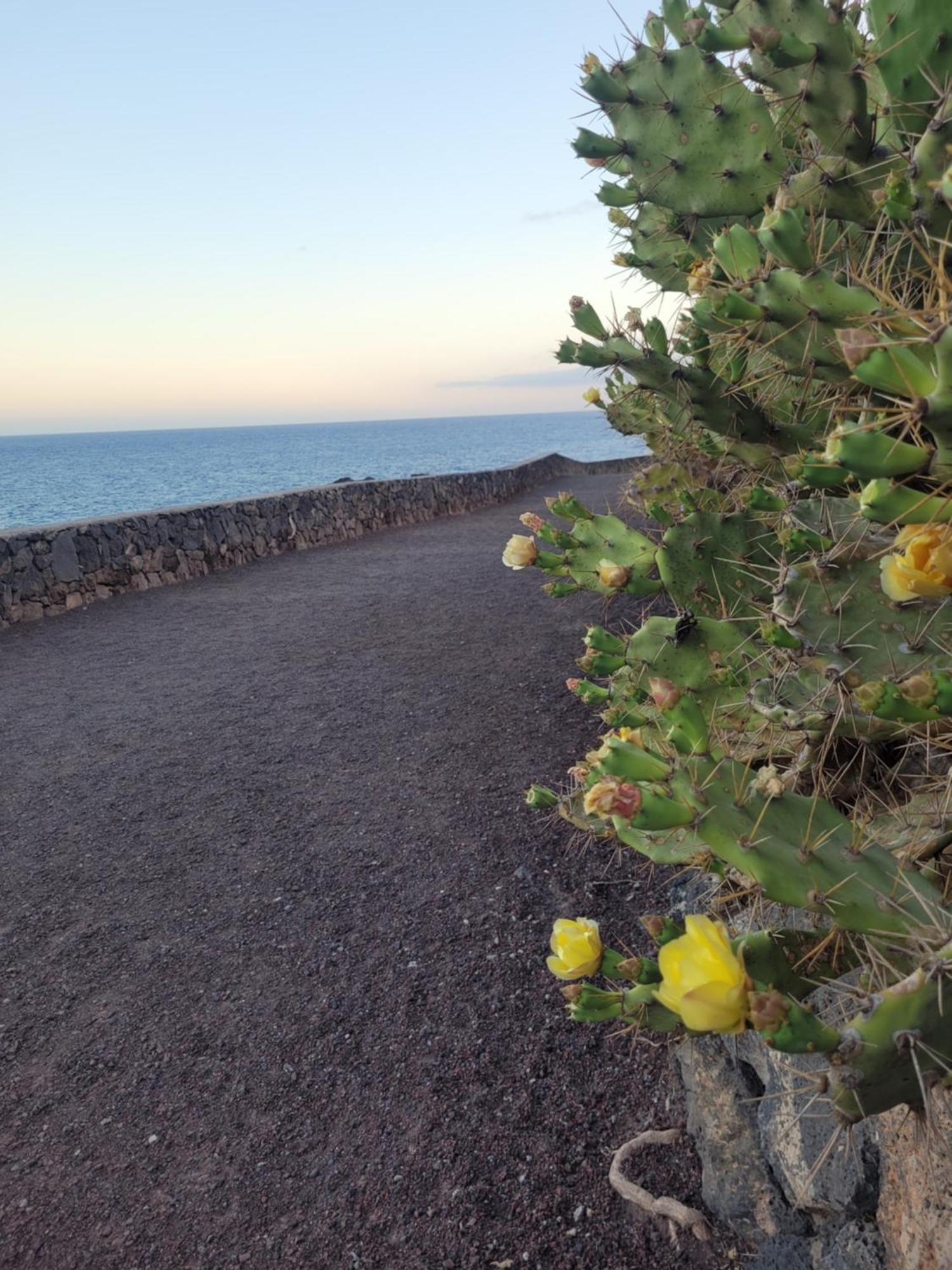 Atlantic View Tenerife South Arona (Tenerife)
