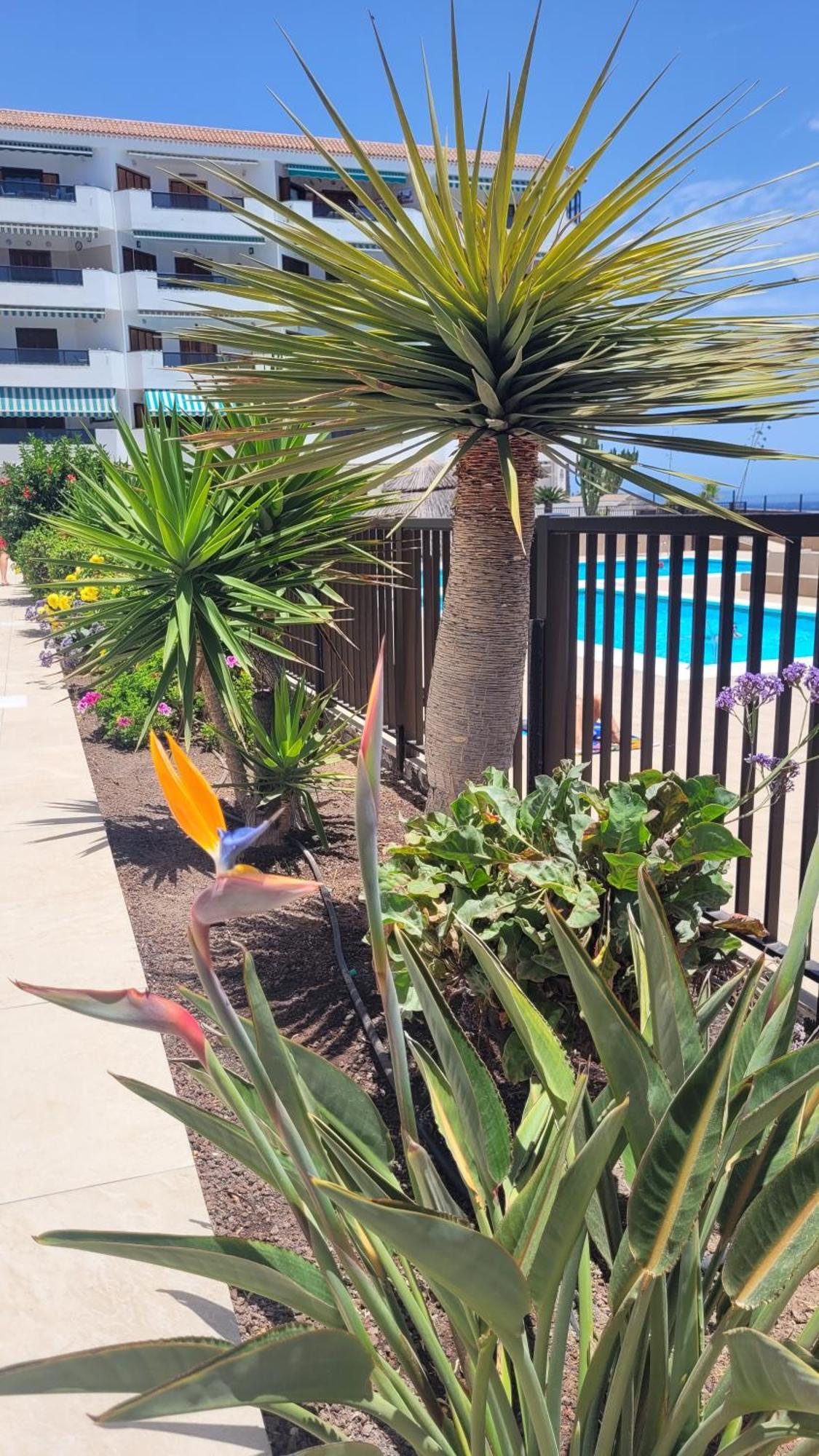 Apartamento Atlantic View Tenerife South